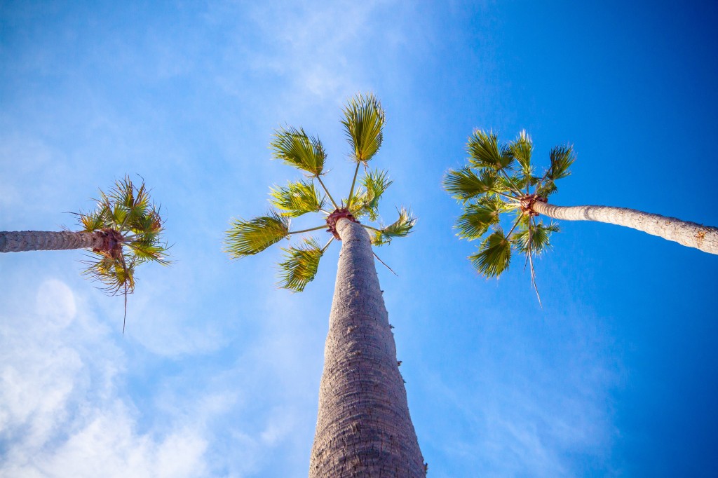 daniel-hernandez-678883-unsplash