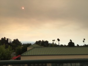 SJ wildfire 1