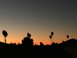 IMG_0959