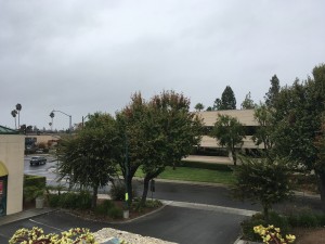 IMG_0963
