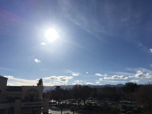 image_6483441 (2)