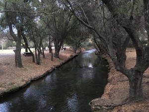 IMG_1063