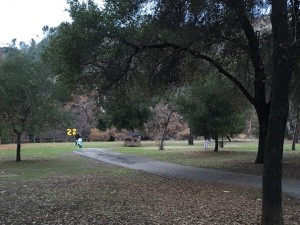 IMG_1065