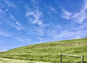 IMG_1222