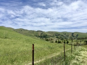IMG_1224