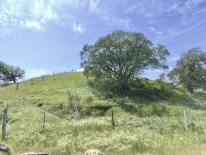 IMG_1228