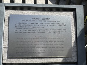 IMG-2584